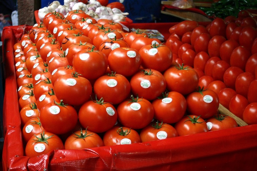 Los productores de tomate mexicano enfrentan una tarifa punitiva de 17.5% para su producto que ingresa a Estados Unidos.