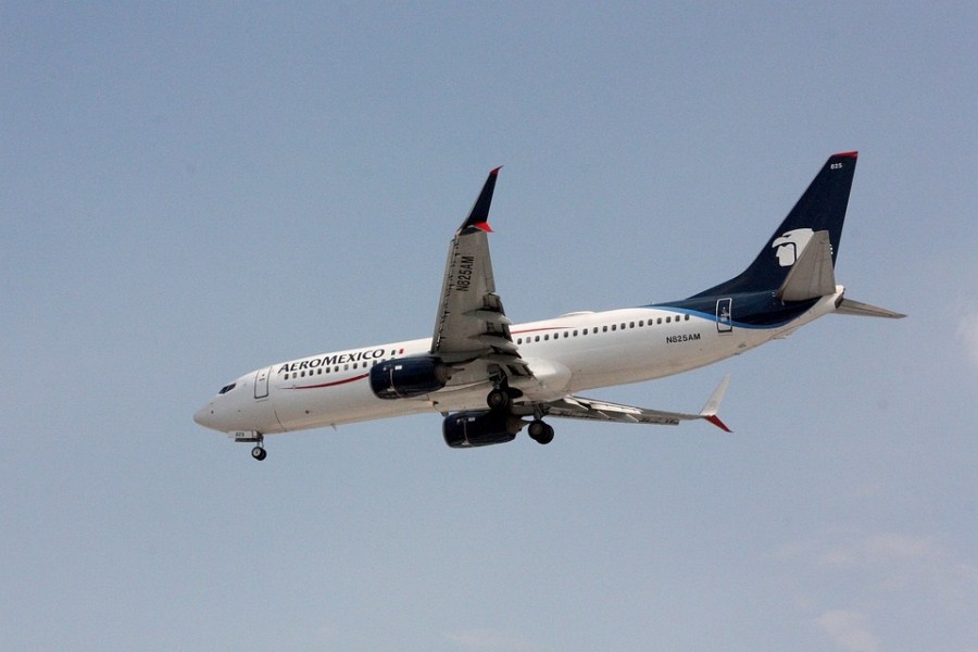 AeroMéxico recibió la oposición de Alpage Debt Holdings, una afiliada del administrador de fondos Apollo Global Management. Foto Pixabay