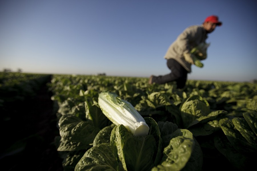 Las remesas que llegan a México suben 11.2% en febrero, dice Banco de México. Foto AP/Gregory Bull
