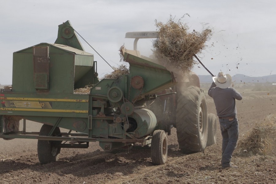 La tasa de desocupación en México continuó en 2.8% en marzo, su menor nivel desde que existe registro. Foto de Sagarpa