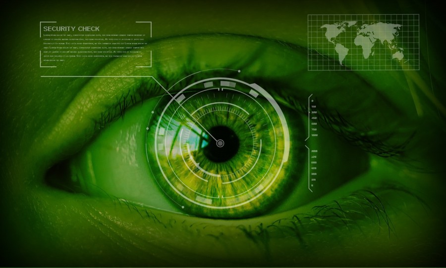 Algunas compañías apuestan al desarrollo de mejores controles biométricos para sustituir las credenciales y contraseñas de acceso en el fututo. Foto TBIT/Pixabay/ https://www.needpix.com/photo/542726/